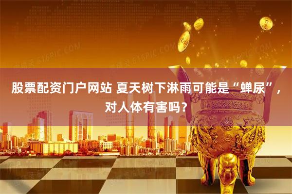 股票配资门户网站 夏天树下淋雨可能是“蝉尿”，对人体有害吗？